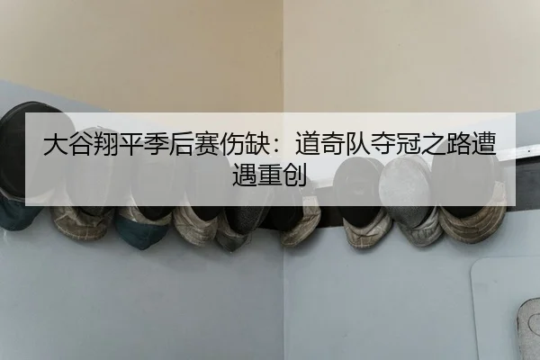 da-gu-xiang-ping-ji-hou-sai-shang-que-dao-qi-dui-duo-guan-zhi-lu-zao-yu-zhong-chuang-2-797.jpg